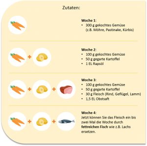 Reif Fur Den Brei So Fuhren Sie Die Beikost Ein Denk Nutrition